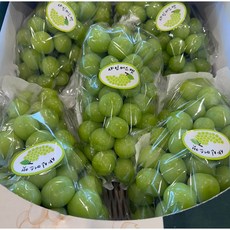 산지직송연구소 국내산 선물용 고당도 특품 샤인머스켓 4kg8-10수 아삭한 껍질째 샤인 씨없는 샤인머스켓, 1개, (특품)샤인머스켓4kg8-10수