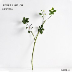 한라봉 수경재배 화분 인테리어 세라믹 도자기 화분, 모조 호박 1개