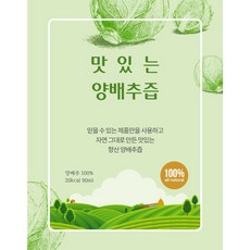 (홍열팜) 양배추즙 위건강 장건강 쏙쓰림 더부룩 위장개선, 30개, 90ml
