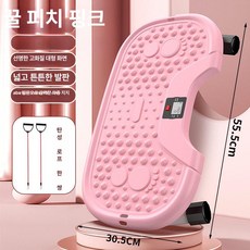 운동기구 복부 운동 허리 홈짐 하체 옆구리 가정용 홈트, 1개, 핑크 당김줄+계기