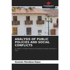 (영문도서)Analysis of Public Policies and Social Conflicts Paperback, Our Knowledge Publishing, English, 9786200843630