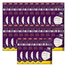 국내산 에스엠마스크 일회용마스크 성인용 백색, 5매입, 25개