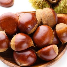 [과일예찬] [뜰안애] 충남부여 알밤 2kg(대), 1개