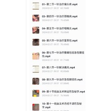 道家上古能量針 19集, 1個