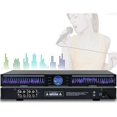 디지털 이퀄라이저 10가지 사전 설정 효과가 있는 22밴드 듀얼 채널 그래픽 베이스미드트레블 조정 자동 소음 감소 스튜디오용 1U 랙 마운트
