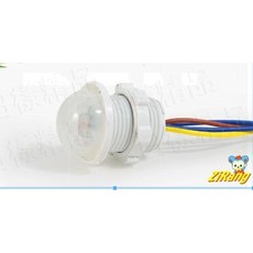 日樣 附發票 紅外線人體感應器 110V 220V 節能省電光控開關 適用LED燈 全電壓 人體感應器開關探頭, 1個, 紅外線感應器長線款（單顆）