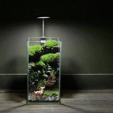 다우림 숲 테라리움 키트 DIY 비단이끼 비바리움, 1개