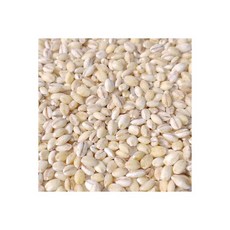 군산 흰찰쌀보리4kg/흰찰보리/찰보리 25년산 햇흰찰보리, 군산 흰찰쌀보리4kg/흰찰보리/찰보리 25년산 햇흰찰보