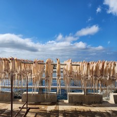 프리미엄 A급 반건조 한치 햇 반건조 한치, 1개, 5마리