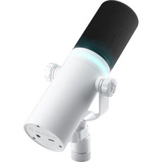 BEACN 라이트 다이내믹 USB 마이크 PC용 | 팟캐스트 게임 스트리밍용 프로페셔널 유튜브 트위치 녹음을 위한 스튜디오 퀄리티 데스크, Light