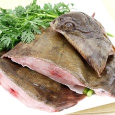청정태안 자연산 냉동 봄도다리1kg(1~3미내외), 1kg, 1개