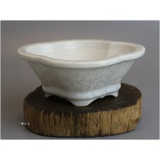 小樹安每 日本盆缽-平安泉山 白花結晶木瓜鉢 15cm 日式沙拉碗, 1個