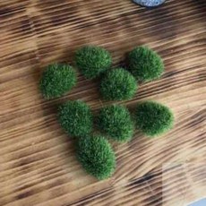 너블룸 인조 비단이끼 8p 화분장식