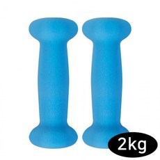 스타스포츠 피트니스 네오프렌 아령 (2kg x 2개) (블루) (ER320-02007), 2개