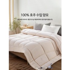 겨울 양모 이불 침구세트 두꺼운 보온 호텔식 기숙사 사계절 침실용 이불세트, 겨울 이불 차커피 B급 이중 코어