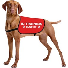 HOLLP 트레이닝 복자켓 조끼 무시견 개 워킹 재킷 경고 훈련 무시견대형, In Training Ignore-Medium, 1개