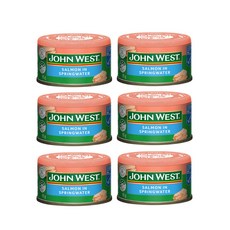 존 웨스트 살몬 연어 스프링워터 John West Salmon In Springwater, 6개, 95g