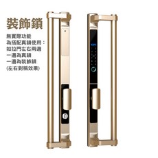 換新保固 大門指紋鎖 室內密碼鎖 電子鎖 指紋 APP 密碼 鑰匙開鎖 辦公室指紋鎖 喇叭鎖指紋門鎖堅固合金, 1個, 【精鑽金】《裝飾鎖》