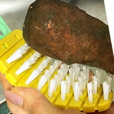 엠비아5 야채 세척솔 당근브러쉬 야채세척솔