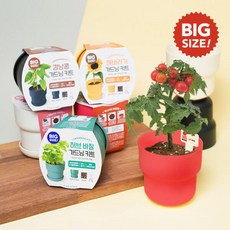 아트박스/꿈쟁이 꿈쟁이 나만의 미니텃밭 "빅" 가드닝키트 (5종 택1), 허브바질