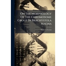 (영문도서)On The Morphology Of The Chromosome Group In Brachystola Magna Paperback, Hutson Street Press, English, 9781024579031