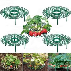 헬스와미 5개입 딸기 받침대 화분 화초잎받침대 트레이 딸기거치대, 5개