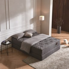 코어슬립 코어홈 그래핀 매트리스 SS Q K