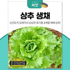 세경팜 고소하고 4계절 싱싱한 아삭이상추 생채 씨앗 1500립 LMV품질종자, 2개