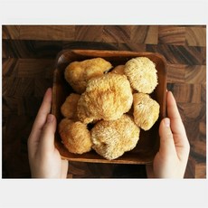 건노루궁뎅이버섯 100g 무농약 말린 노루궁뎅이 버섯 슬라이드 고단백 저칼로리 식이섬유 식품 음용차 요리용, 1개