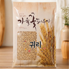 [정성든]국산 귀리 5kg-[26년산]햇곡 잡곡 오트, 5kg, 1개