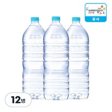 [공식] 웅진 가야워터 무라벨 생수, 2L, 12개