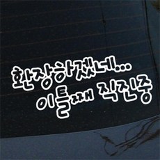 [LSC-019]초보운전:이틀째 직진중, 본품