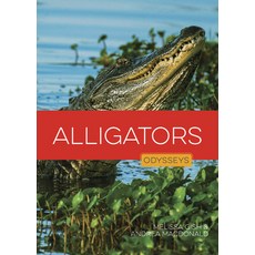 (영문도서)Alligators Library Binding, Creative Education, English, 9798895811443