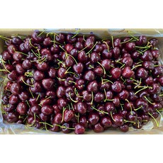 프리미엄 체리 생체리 미국 칠레 2.5kg 5kg 9row 9.5row, 1개, 1kg