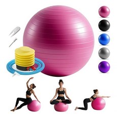 65cm1+6활동 짐볼 필라테스볼 헬스볼 pvc 강화 임산부 조산 훈련구 짐볼 강화 핵심 임산부 균형 훈련 어린이 창조력 (펌프 + 에어백 + 마개 + 저항대 2P), 핑크짐볼