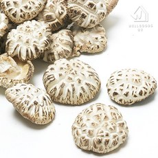 [웰굿] 진안직송 명품 참나무 표고버섯 백화고 200g(특품소), 없음