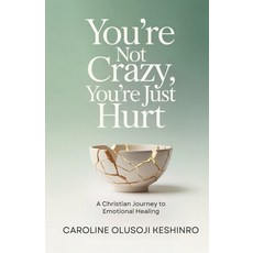 (英文圖書)You're Not Crazy You're Just Hurt: A Christian Journey To Emotional Healing 平裝版, Independently Published, 英文