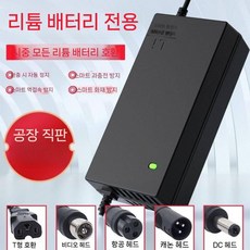 리튬 배터리 전기차 충전기 48V36V60V24V2A72V10A 스쿠터 이온 할리 밸런스 바이크, 1개, 1.48V2A기본전압54.6V핀헤더., QR