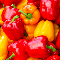 지지팜 가정용 파프리카 2kg 빨강 노랑, 1박스, 빨노