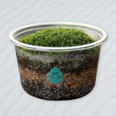 이끼 테라리움 DIY 만들기 키트 양지이끼 세트 미니 화분 체험학습 대량
