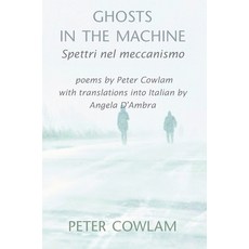(영문도서) Ghosts in the Machine Hardcover, Centrehouse Press, English, 9781902086309