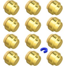 2612개 세트 푸시투커넥트 배관 피팅 12인치 푸시핏 직선 피팅커넥트 클립 포함 구리 PEX CPVC 파이프용 2개, 12개 1/2" 엔드 캡