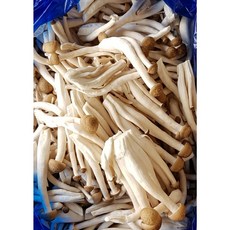 국내산 나주 산지직송 벌크 만가닥버섯 2kg 4kg 알뜰농장, 1개, 만가닥 무농약(벌크) 2kg내외