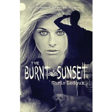 The Burnt Sunset Paperback, Piscataqua Press, English, 9781944393380