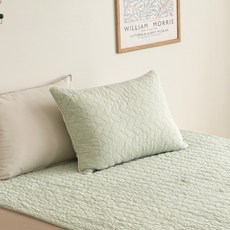_ [100% 국내산 순면] ON 피그먼트 베개커버 50*70 민트_CV0325074, _ [100% 국내산 순면] ON 피그먼트 베개커버 5