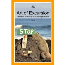 (영문도서) Art of Excursion Vol. 2 Paperback, Lulu.com, English, 9781329691612