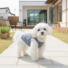 쿠머스 강아지 겨울대비 레트로 할매조끼, 블루, 1개