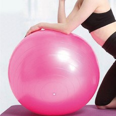 디에스스포츠 요가 필라테스 스트레칭 짐볼 65cm, 핑크