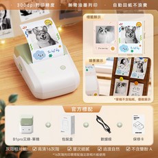 精臣 B1Pro 高清照片打印機 300dpi 藍牙便攜標籤機, B1Pro-艾綠 (無貼紙)高清版