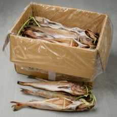 해다운 대용량/업소용 코다리 손질 코다리 반건조 명태 동태 깔끔손질 (왕특대 54cm 이내) - 밥도둑 코다리조림/찜용, 1개, 코다리 16마리